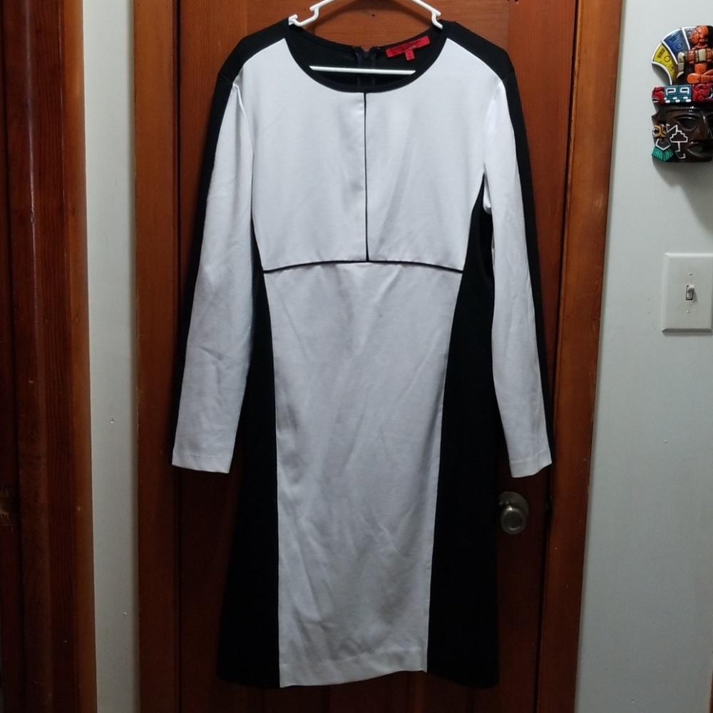 Flattering Narciso Rodriguez color block dress